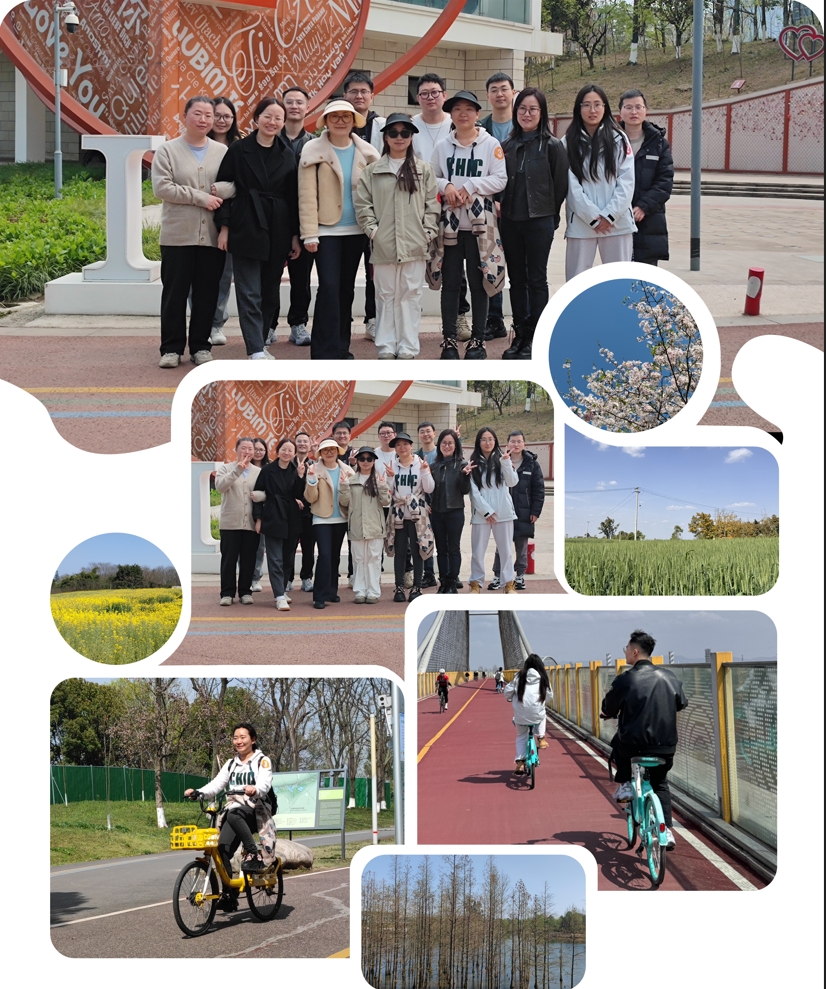 微信截图_20250411154110.png